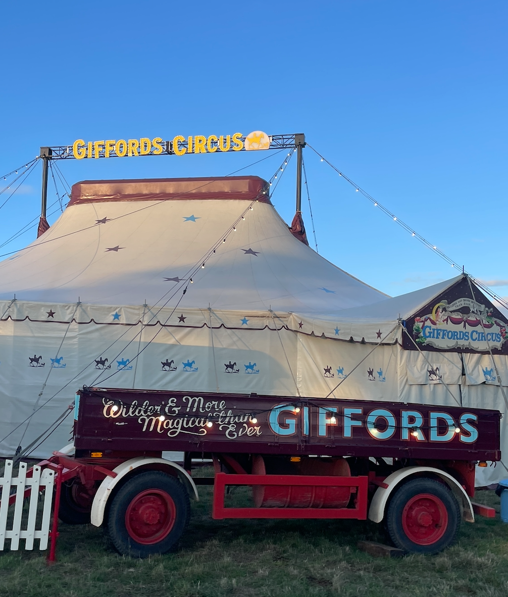 Why Gifford’s Circus Should Be on Your Diary for Next Year