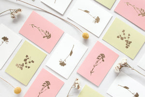 Cards & Stationery