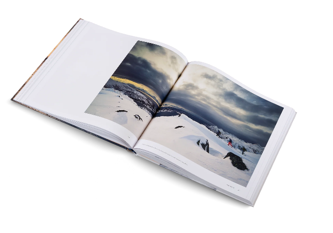 Book- Powder