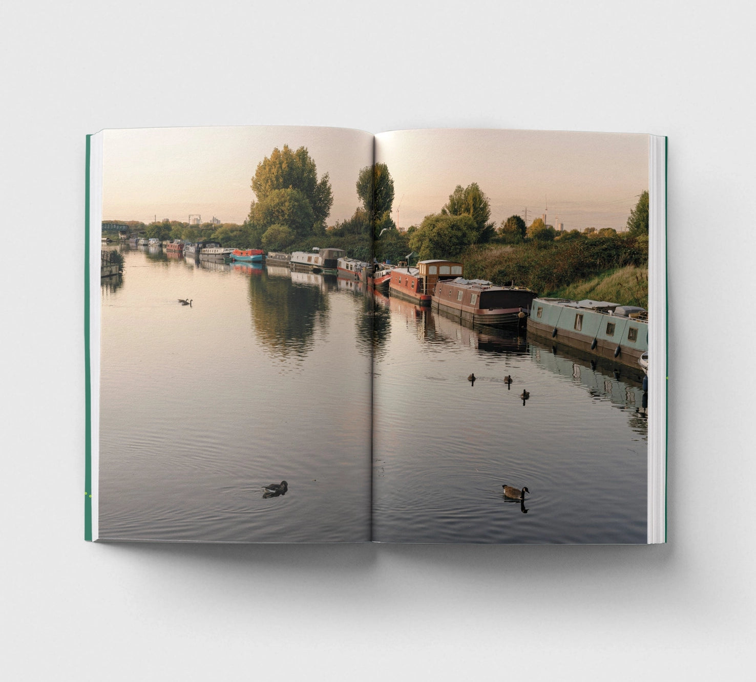 Book- An Opinionated Guide To London Walks