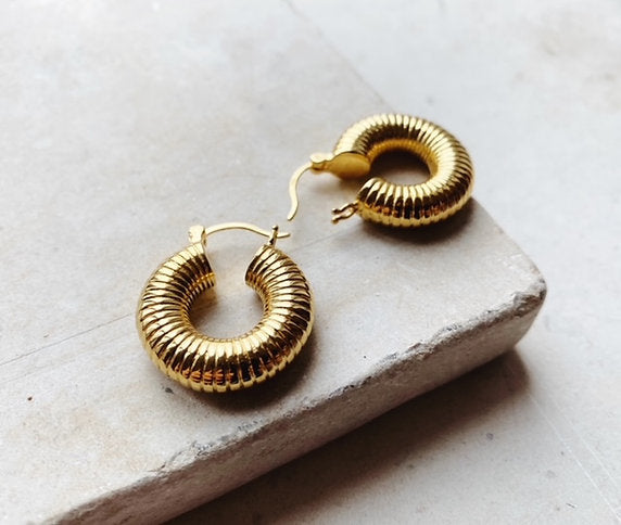 Shyla Monica Ribbed Earrings