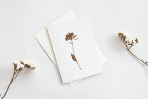 Ola Foil blocked Allium card - Brass on Ivory